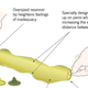 Illustration for article titled Trojan Introduces ‘No One’s Pleasure’ Condoms For Bitter, Resentful Couples